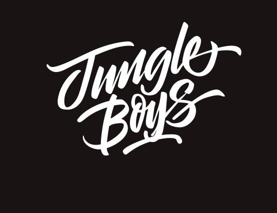 jungleboyvapesofficial.co.uk