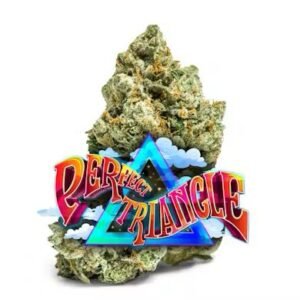 Jungle Boys Perfect Triangle